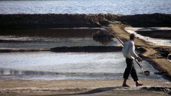 Crónicas de Pichilemu